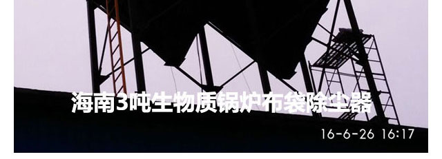 生物質鍋爐除塵器(圖25) 生物質鍋爐除塵器(圖25)