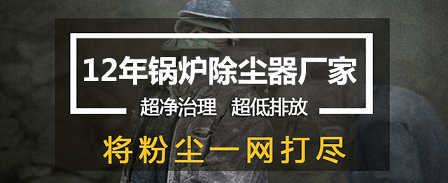 生物質鍋爐除塵器(圖1)